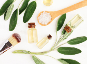 Tudo sobre os Cosméticos Veganos!